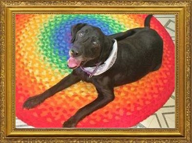 Cocoa -2006-2018